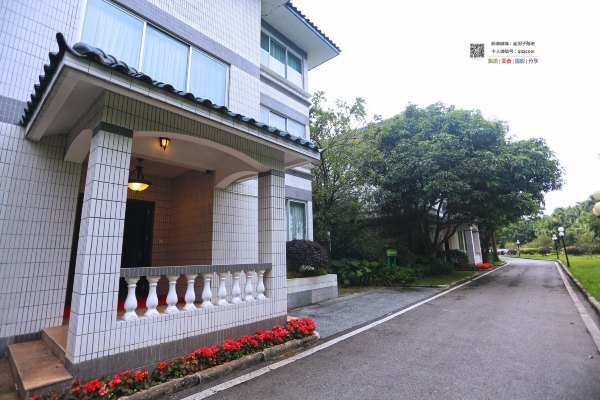 有一种春天叫牡丹花开,有一种春天叫花开艳丽