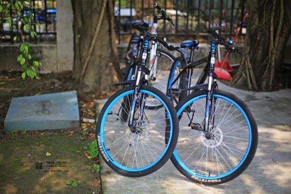 有一种春天叫牡丹花开,有一种春天叫花开艳丽