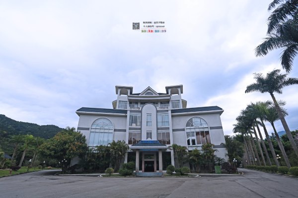 有一种春天叫牡丹花开,有一种春天叫花开艳丽