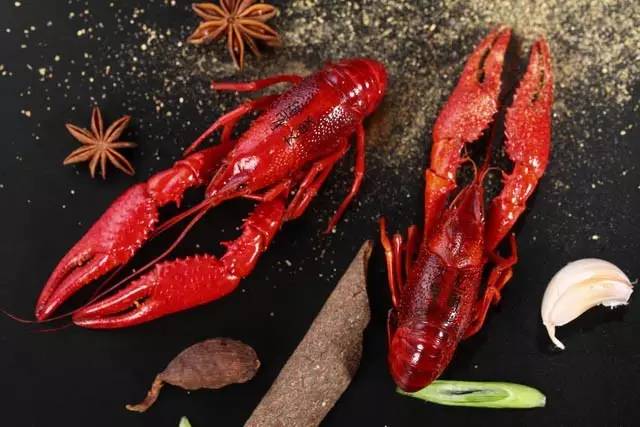 就算你开着玛莎拉蒂，*博兰**基尼也不一定能吃到她家龙虾，每天就这