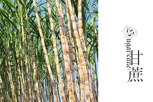 “清明蔗毒过蛇”都是变质惹的祸