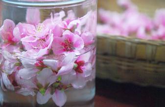 春日鲜花美食大赏,春天常见的四十种鲜花
