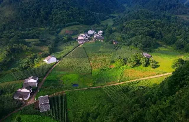 重庆是不是又出名了,为什么重庆在全国名气那么大