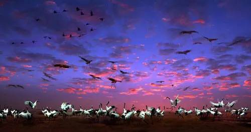 江苏未来外资投资城市,江苏外资增长排名