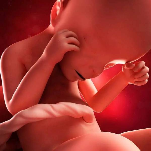 预防先兆流产的十个方法 (先兆流产护理措施ppt)