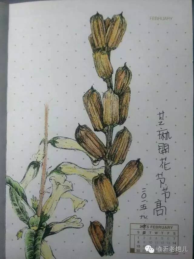 带上手鼓去旅行,带着旅行箱去旅行绘画