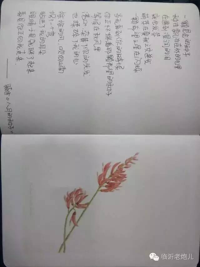 带上手鼓去旅行,带着旅行箱去旅行绘画