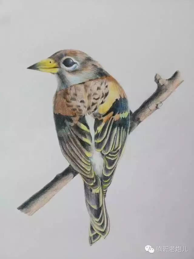 带上手鼓去旅行,带着旅行箱去旅行绘画