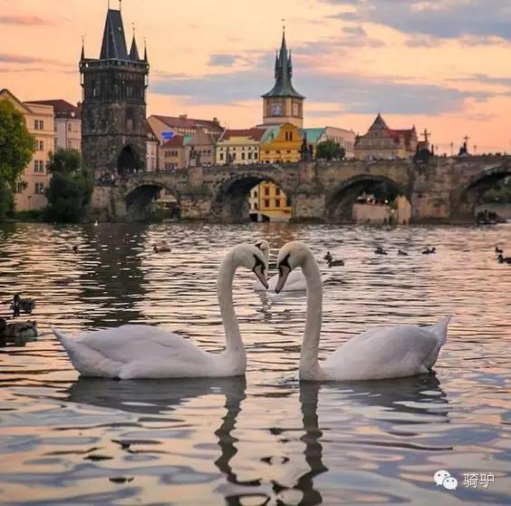 宜居城市维也纳,维也纳世界宜居城市第一名