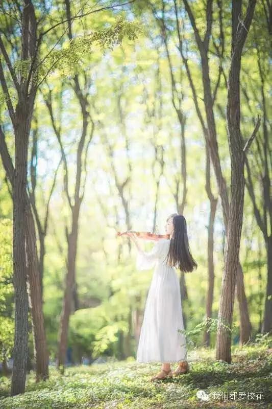 最美原源|你是怎样的人，就会遇到怎样的人。