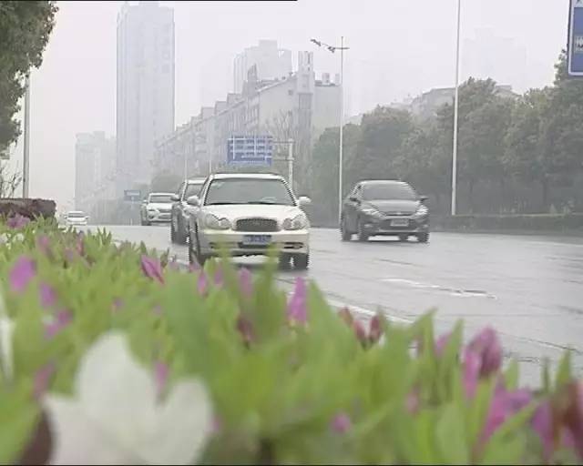 市长热线核查办理简要情况,市长热线处理意见怎么查询