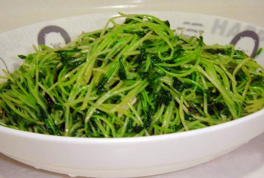 最全的芽苗菜种植技术省钱又生态,芽苗菜在家大量种植