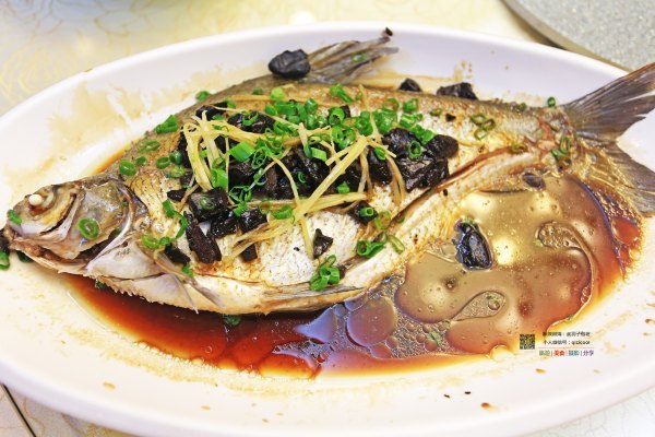 有一种春天叫牡丹花开,有一种春天叫花开艳丽