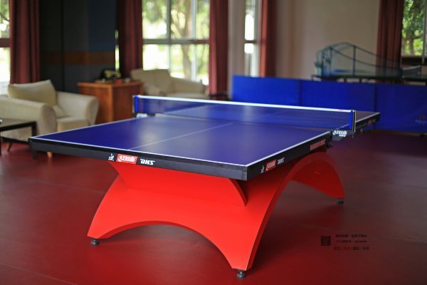 有一种春天叫牡丹花开,有一种春天叫花开艳丽