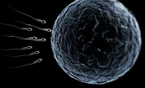 科普100张图看懂怀孕,一张图说明生小孩有多痛苦