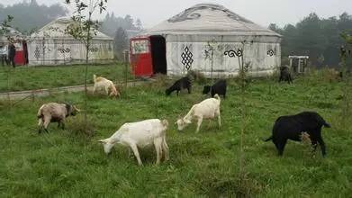 重庆周边农家乐旅游2-3天推荐地方,重庆荣昌附近哪里有好玩的农家乐