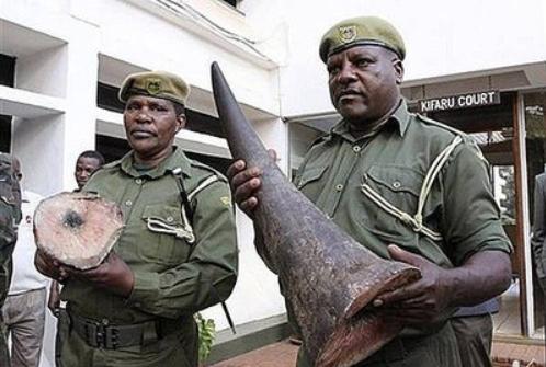 文玩界的*果禁**！这玩意实在太值钱，45名持枪士兵昼夜守卫！