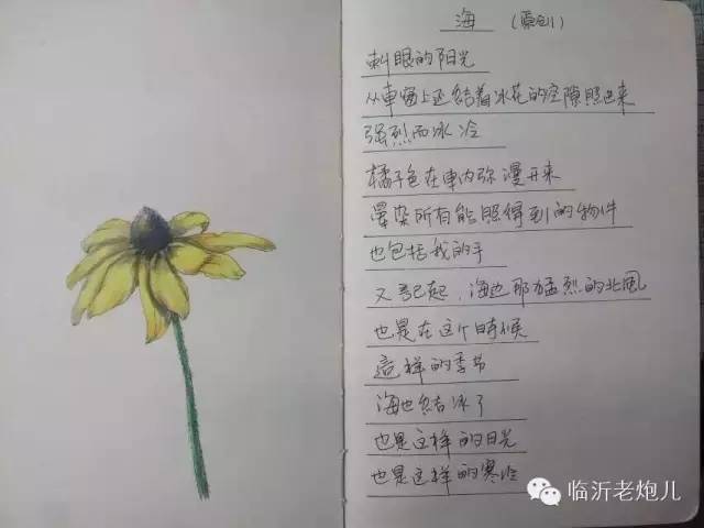 带上手鼓去旅行,带着旅行箱去旅行绘画