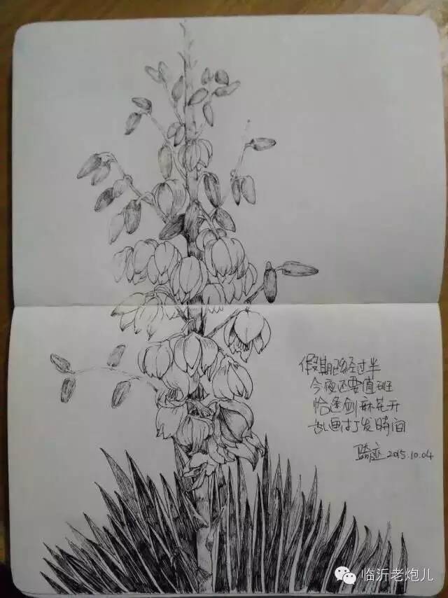 带上手鼓去旅行,带着旅行箱去旅行绘画