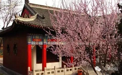 天津三月初哪个公园值得逛,天津最值得去的公园