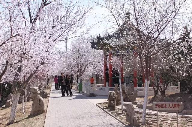 天津三月初哪个公园值得逛,天津最值得去的公园