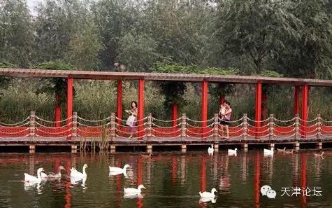 天津三月初哪个公园值得逛,天津最值得去的公园