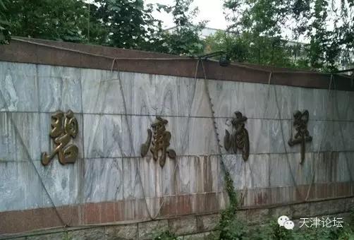 天津三月初哪个公园值得逛,天津最值得去的公园