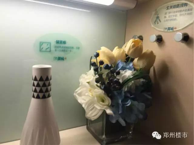 米宅看地市,米宅看海外