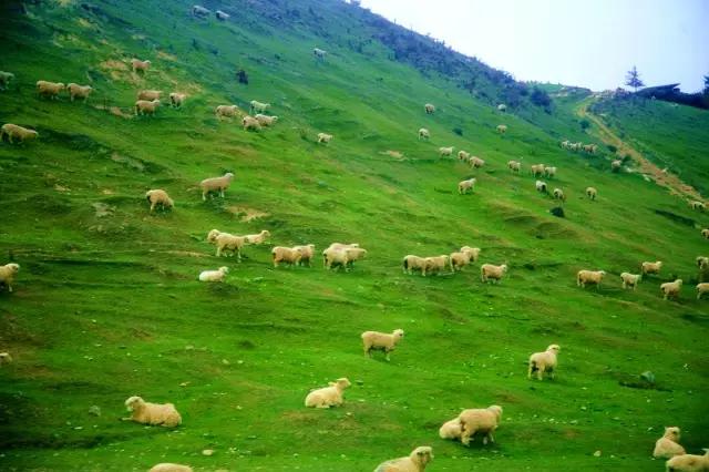 海华购用300万天使投资做跨境代购防伪