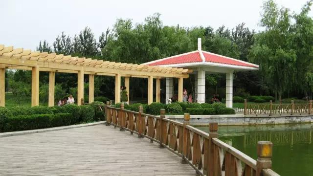 淄博放风筝十大好去处,淄川放风筝好去处