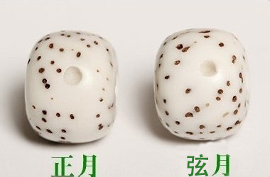 关于星月菩提子的知识,星月菩提的星月深浅不一样怎么办