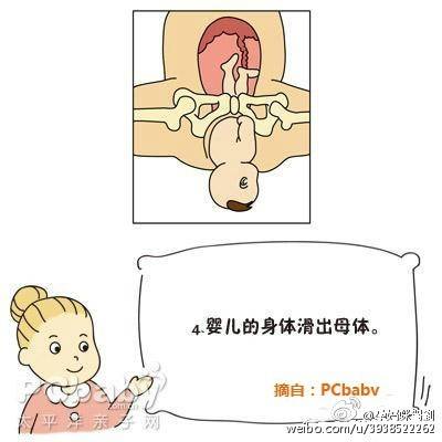 分娩子宫峡部变化,子宫颈细胞变化