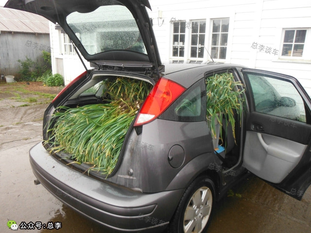 老公，这五菱跑车真漂亮，明年咱换车吧？100多万你能存够吗？