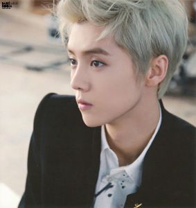 鹿晗原名刘壮实是真的吗,鹿晗的原名是刘壮实吗