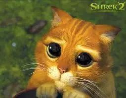 男人耍无赖女人要不要忍,当一个男人耍你的时候该怎么办