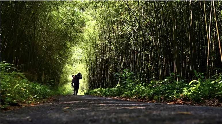 杭州最值得去吃的地方,杭州旅游美食推荐地点