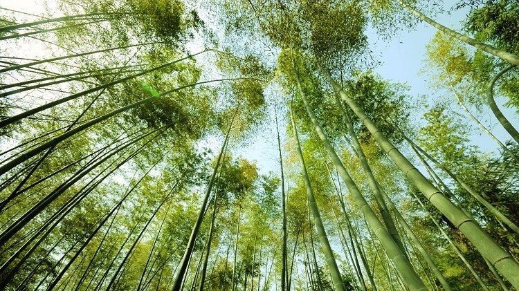 杭州最值得去吃的地方,杭州旅游美食推荐地点
