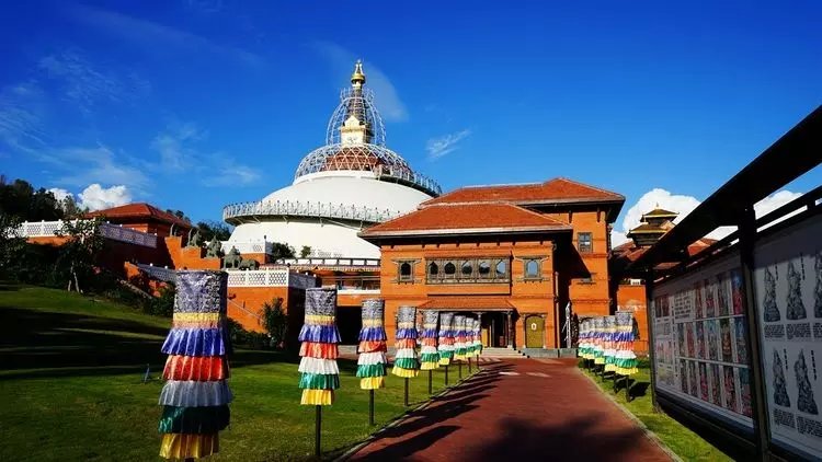 北方人第一次来三亚吃海鲜,一个人在三亚吃海鲜自助