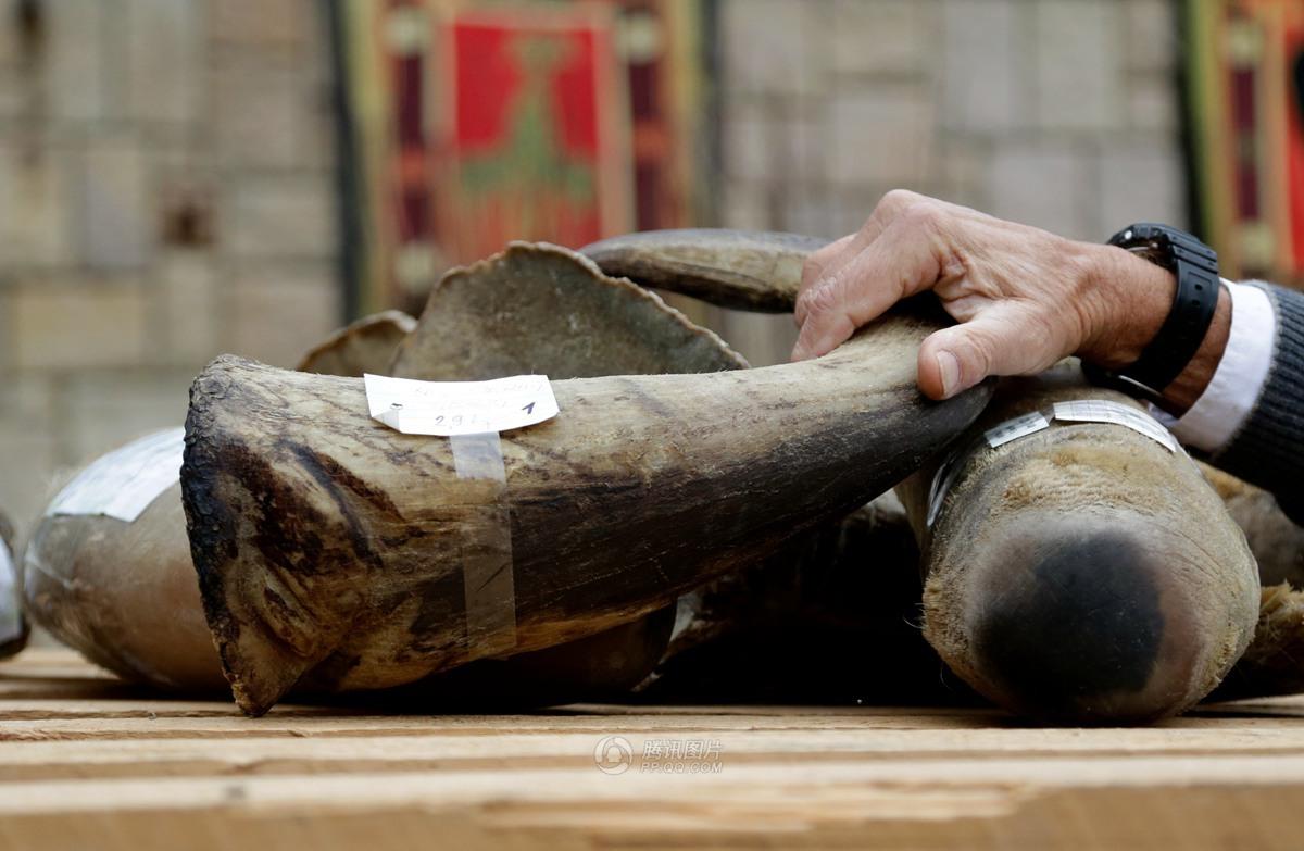 文玩界的*果禁**！这玩意实在太值钱，45名持枪士兵昼夜守卫！