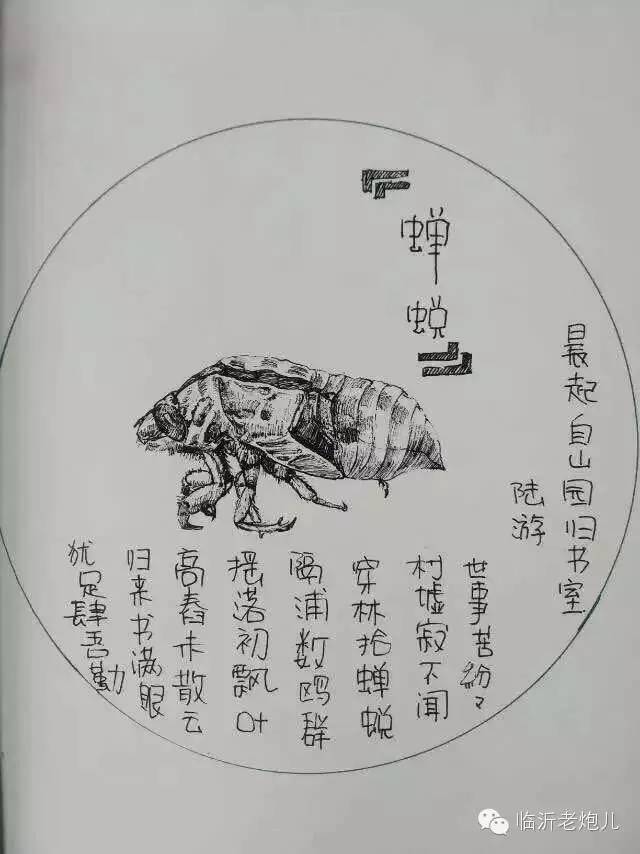 带上手鼓去旅行,带着旅行箱去旅行绘画