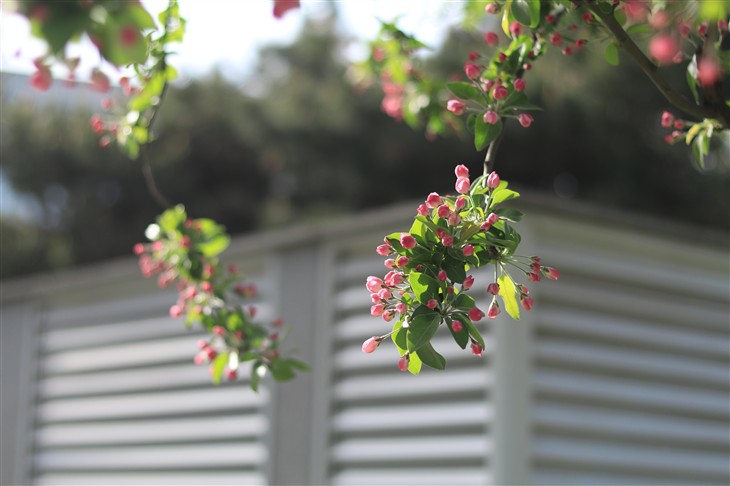 佳能eos80d拍照怎么样,七年前的佳能eos80d相机值得入手