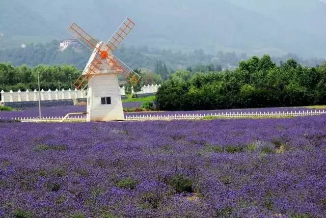 西安香格里拉是一个旅游景点吗,西安香格里拉游玩攻略