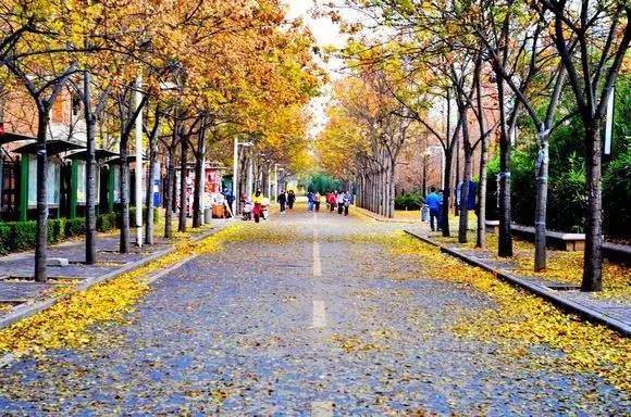 春天别睡起来嗨~西安最适合跑步的地方！