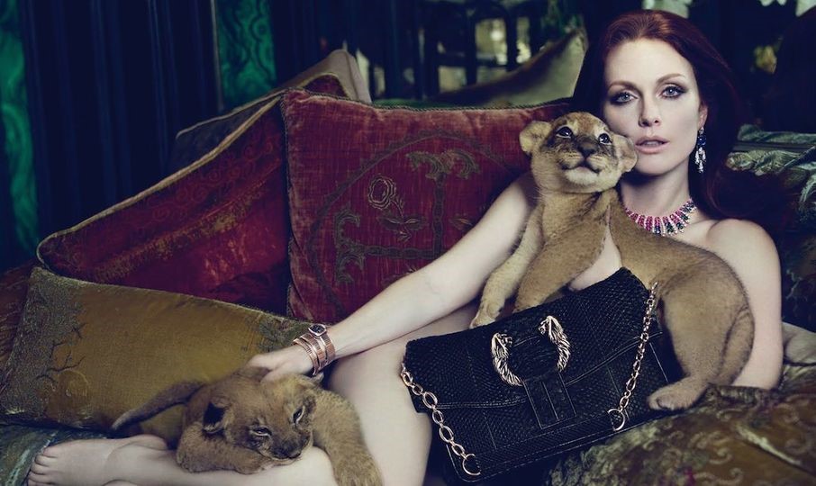 谣言粉碎机的危害,谣言粉碎机真的吗