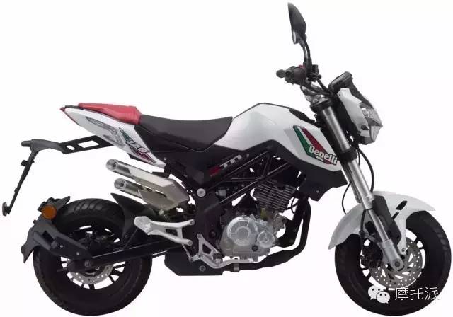 贝纳利小暴龙暴力吗,贝纳利小暴龙最详细的介绍