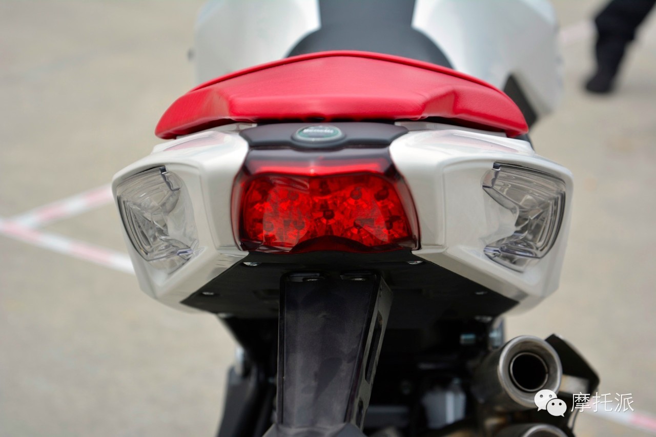 贝纳利小暴龙暴力吗,贝纳利小暴龙最详细的介绍