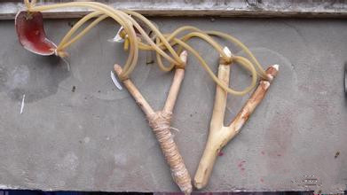 小学阅读完童年后的活动,看孩子运动会想起自己小时候