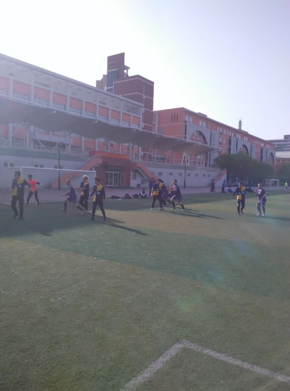 足球战报2019,足球新赛季战报