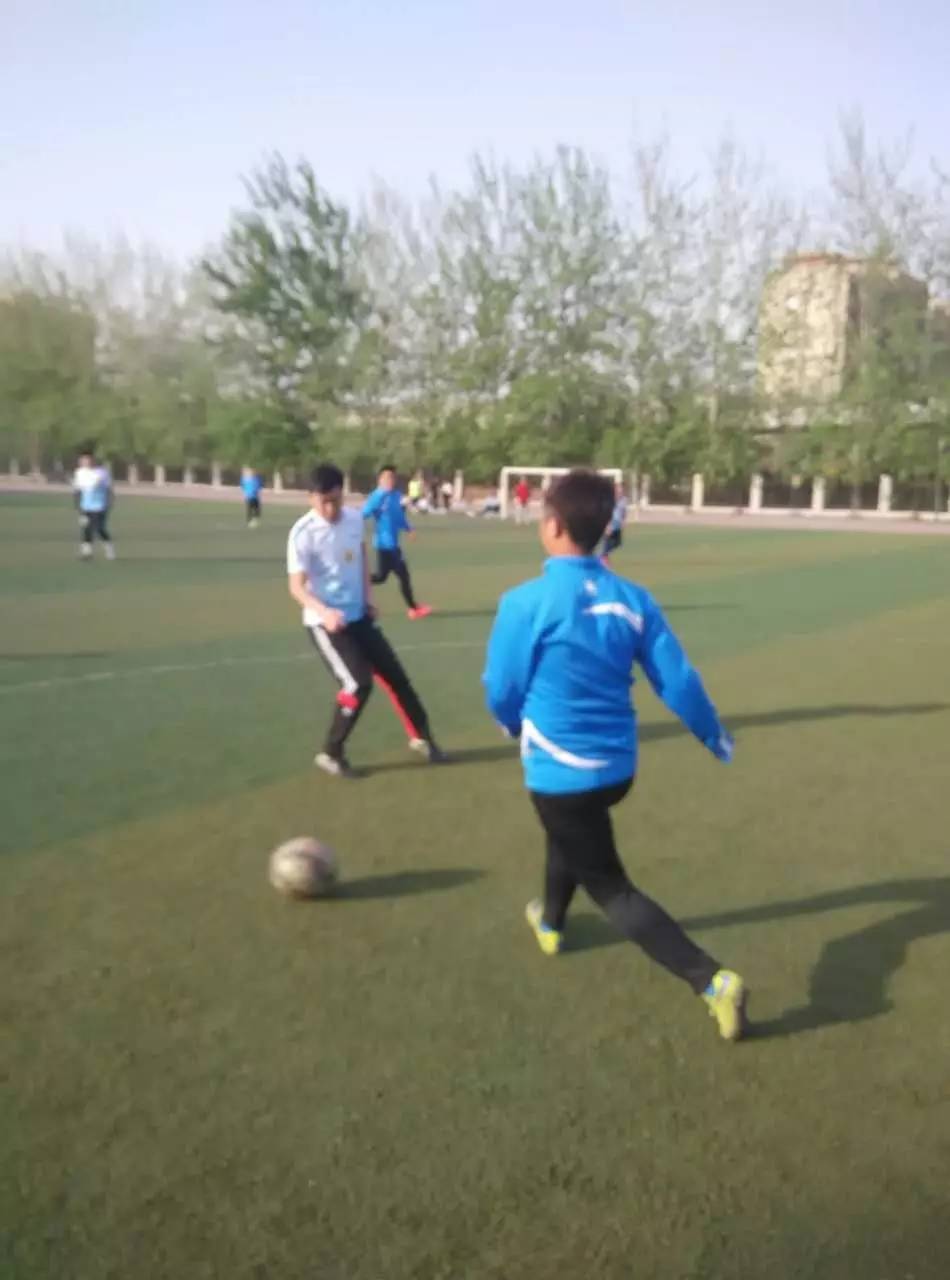 足球战报2019,足球新赛季战报