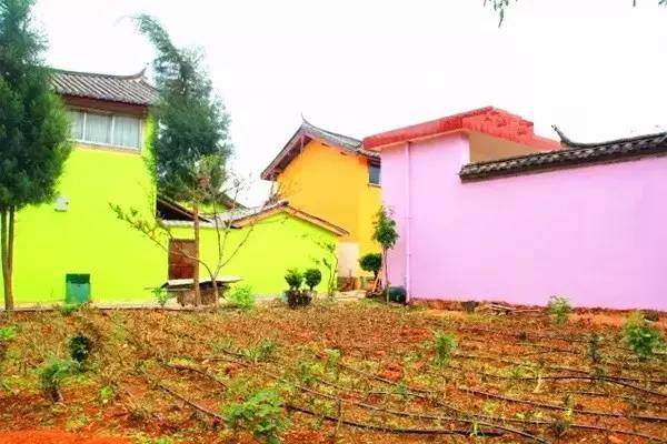 丽江惊现国内第一个彩色村！美的太不像话，像童话！